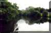 parklake.jpg (31385 bytes)